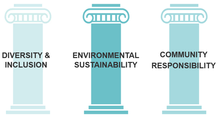 BSP CSR Pillars